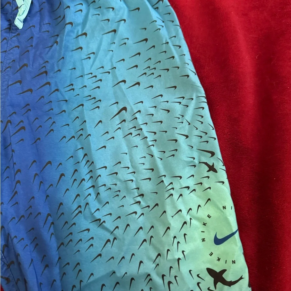 Kids Blue and Green Nike Shorts size XL
